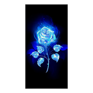 Brennende blaue Rose Poster