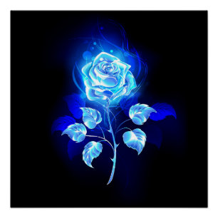 Brennende Blaue Rose Poster