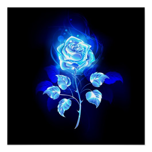Brennende Blaue Rose Poster (Vorderseite)