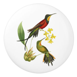 Brennender Topaz-Kolibri Keramikknauf
