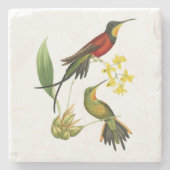 Brennender Topaz-Kolibri Steinuntersetzer (Vorderseite)