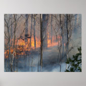 Brennrauchen Poster (Vorne)