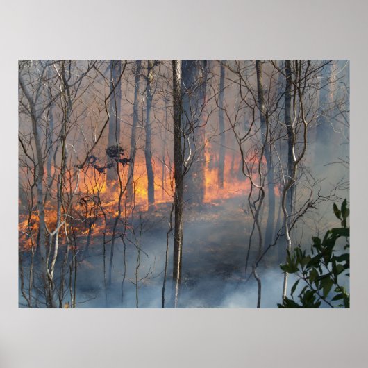 Brennrauchen Poster (Vorne)