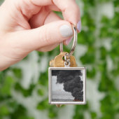 Brennstoffe mit konzentriertem Öl Schlüsselanhänger (Hand)