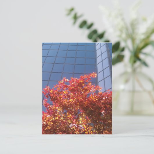 Brentwood Trees and Glass Postkarte (Stehend Vorderseite)