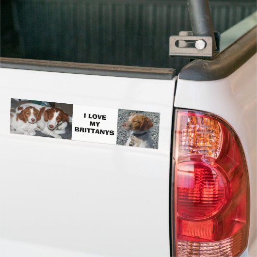 Bretagne-Autoaufkleber Autoaufkleber (Auf Lkw)