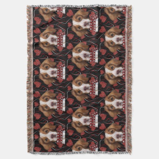 Bretagne Decke (Vorderseite Vertikal)