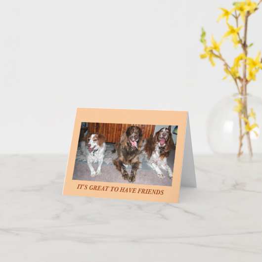 BRETAGNE-FREUNDE KARTE (Gelbe Blume)