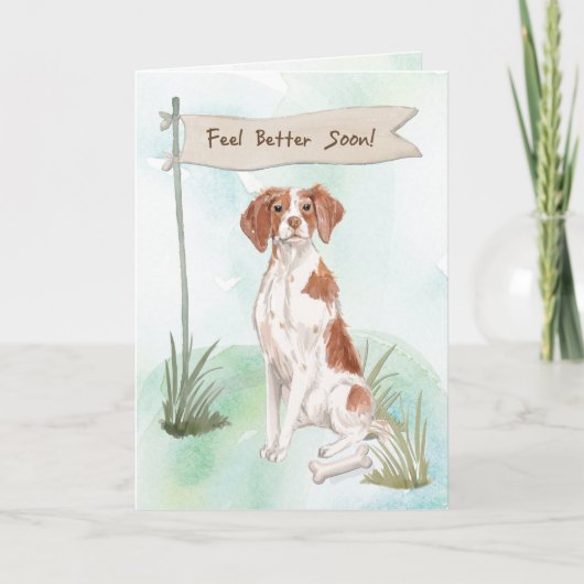 Bretagne-Gefühl besser nach Operation mit Hund Karte (Vorderseite)