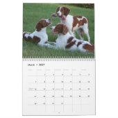 Bretagne-Kalender 2010 Kalender (Mär 2027)