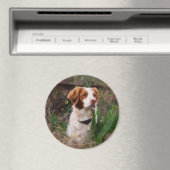 Bretagne Magnet (In Situ (Geschirrspüler))