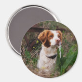 Bretagne Magnet (Vorderseite/Rückseite)