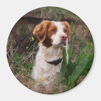 Bretagne Magnet