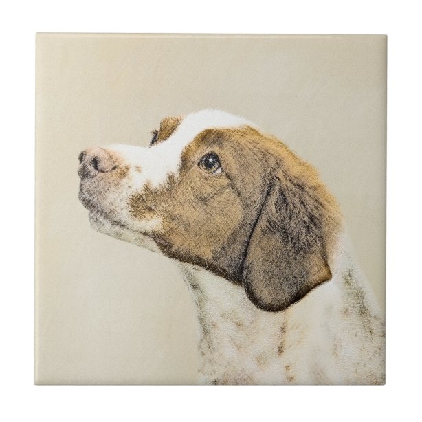 Hund Fliesen Zazzle.de