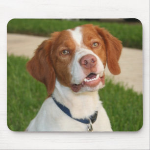 Bretagne-Mausunterlage Mousepad
