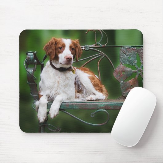 Bretagne Mousepad (Mit Mouse)