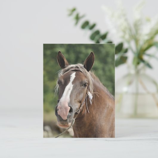 Bretagne Postkarte (Stehend Vorderseite)