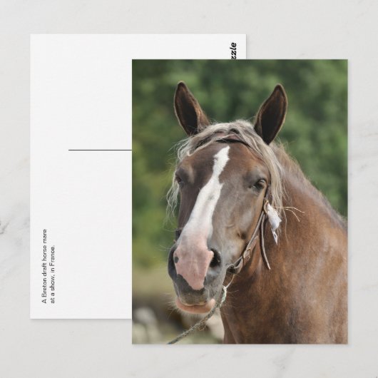 Bretagne Postkarte (Vorne/Hinten)