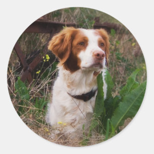 Bretagne Runder Aufkleber