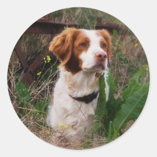 Bretagne Runder Aufkleber