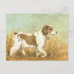 "Bretagne Spaniel" Art Reproduction Postcard Postkarte