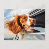 Bretagne spaniel in Car Window Postkarte (Vorderseite)