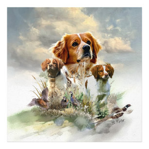 Bretagne-Spaniels, Französische Bretagne, Vogelhun Fotodruck