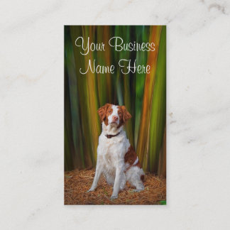 Bretagne-Visitenkarte Visitenkarte