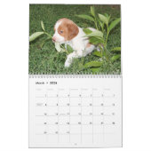 Bretagne-Welpen-Kalender 2008 (GANZ ROSTIG) Kalender (Mär 2026)