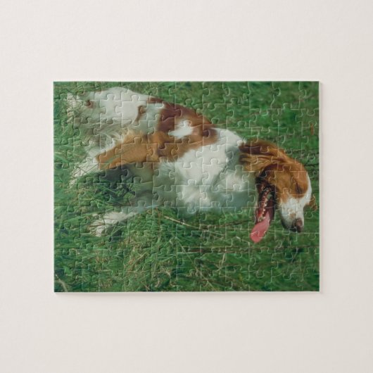 Bretagnespaniel-Hundepuzzlespiel Puzzle (Horizontal)