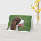 BretagneSpaniel Karte (Gelbe Blume)