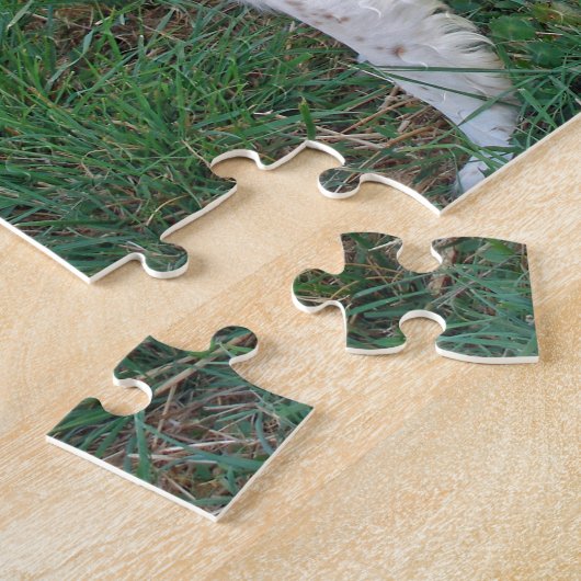 BretagneSpaniel Puzzle (Seite)