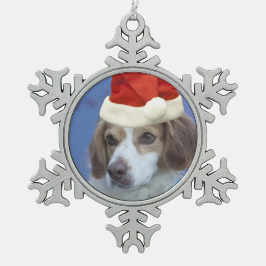 BretagneSpaniel Schneeflocken Zinn-Ornament (Vorderseite)