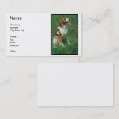 Bretagnespaniel-Visitenkarte Visitenkarte (Vorne/Hinten)