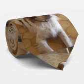 Bretagnespaniellegen Krawatte (Gerollt)