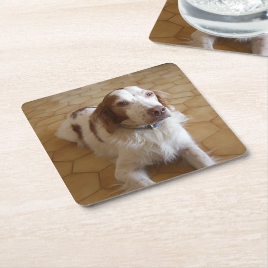 Bretagnespaniellegen Rechteckiger Pappuntersetzer (angewinkelt)