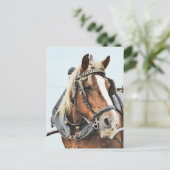 Breton-Zugpferd in Geschirr Postkarte (Stehend Vorderseite)