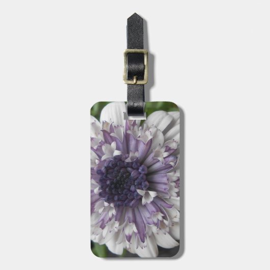 Brett Gepäckanhänger (Vorderseite vertikal)