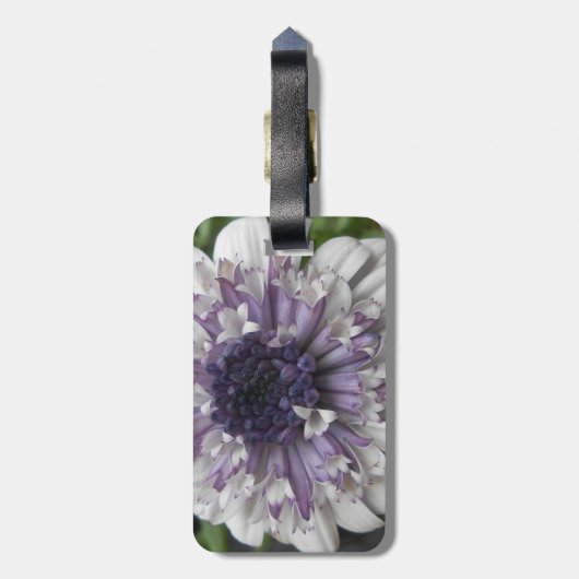 Brett Gepäckanhänger (Rückseite vertikal)