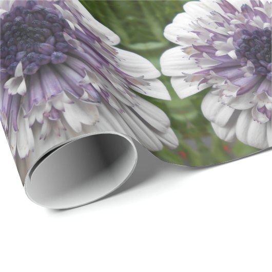 Brett Geschenkpapier (Rolleneckpunkt)