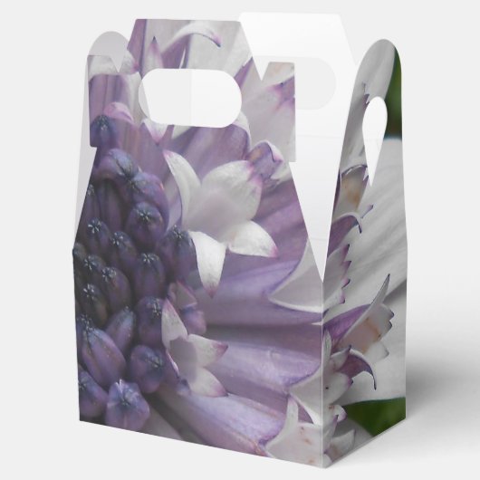 Brett Geschenkschachtel (Geöffnet)