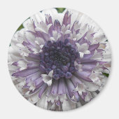 Brett Magnet (Vorne)