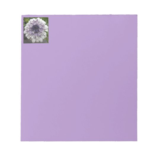 Brett Notizblock (Vorderseite)