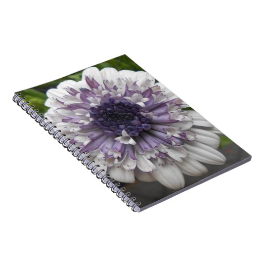 Brett Notizblock (Rechte Seite)