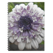 Brett Notizblock (Vorderseite)