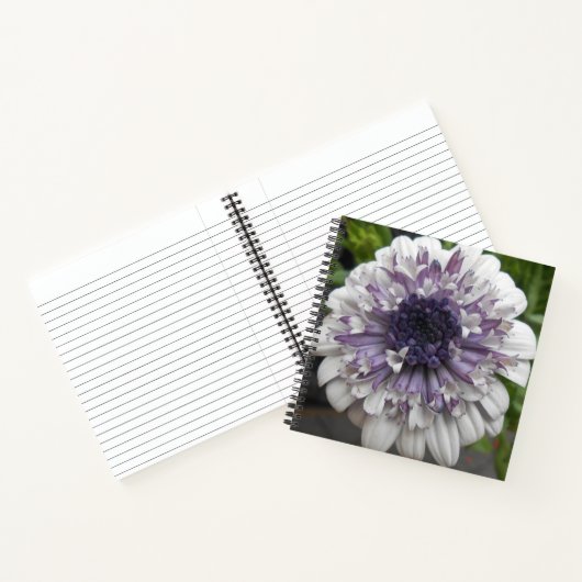 Brett Notizbuch (Innenseite)