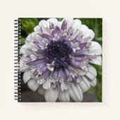 Brett Notizbuch (Vorderseite)