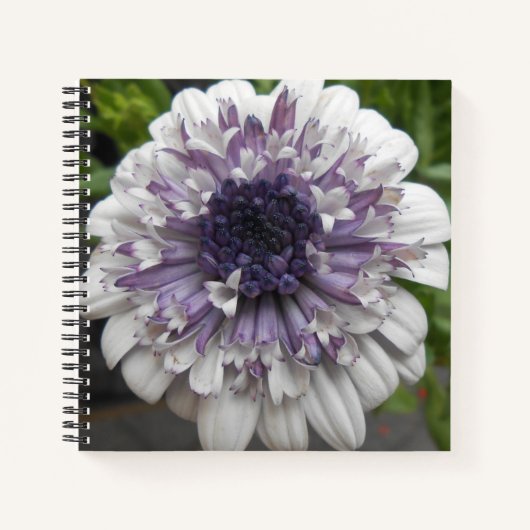 Brett Notizbuch (Vorderseite)