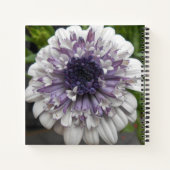 Brett Notizbuch (Rückseite)