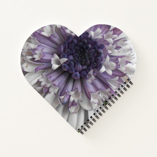 Brett Notizbuch (Rückseite)